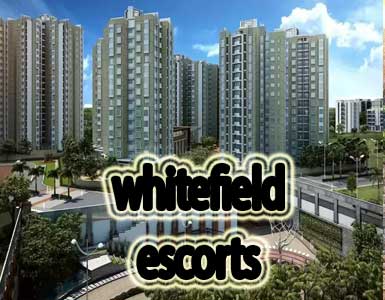 Whitefield Escorts in Bangalore
